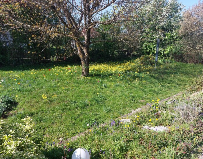 Einfamilienhaus Rosstal/Buttendorf